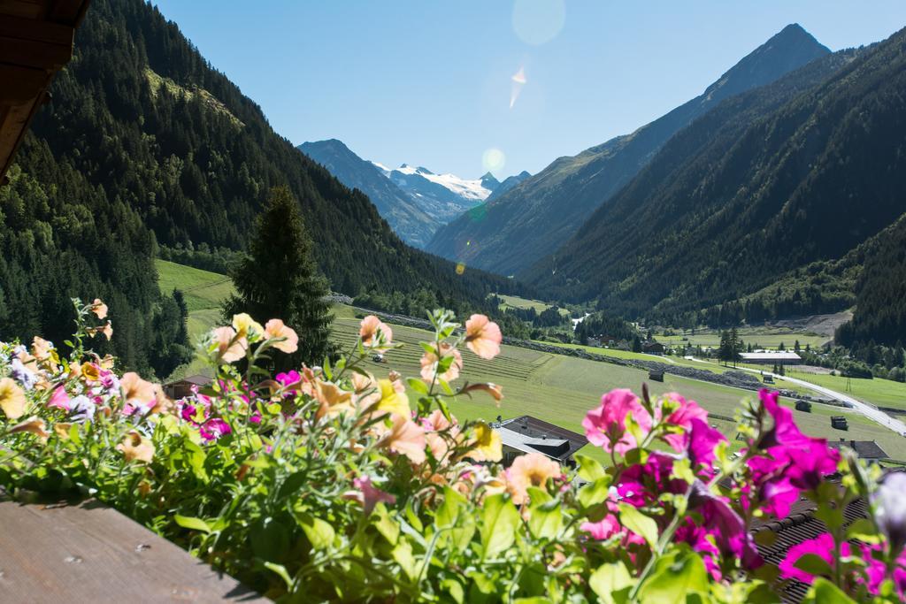 Haus Mary Appartement Neustift im Stubaital Buitenkant foto